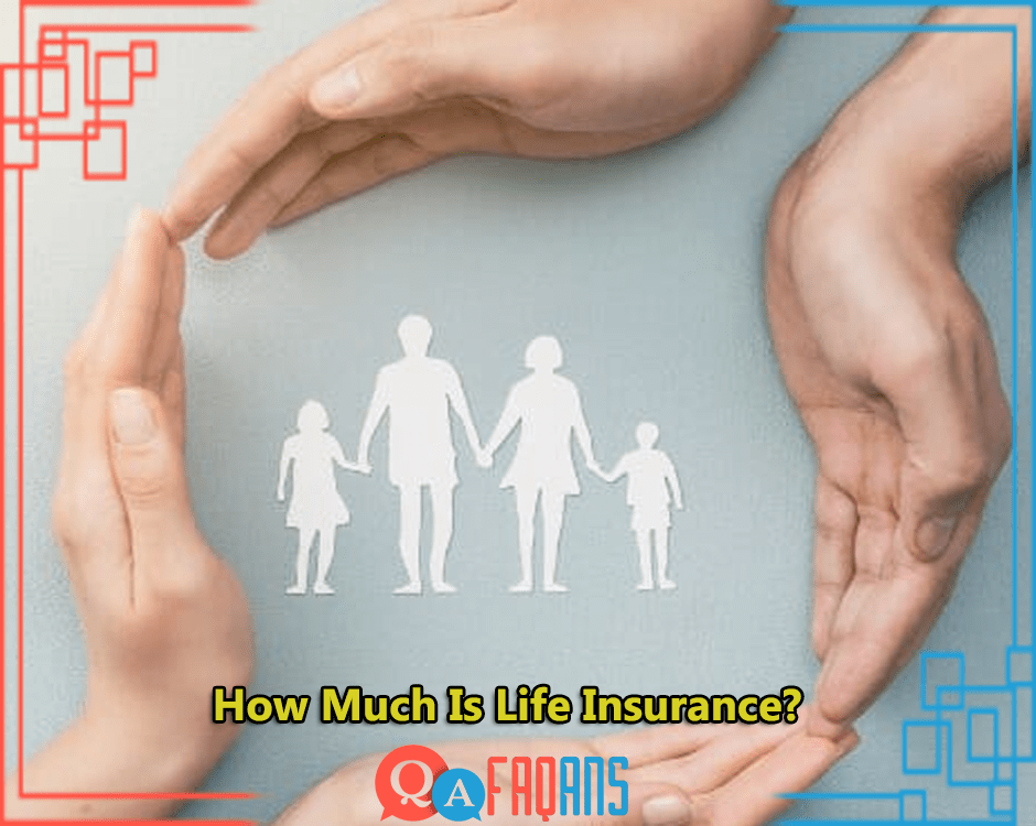 How Much Is Life Insurance?