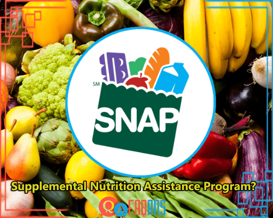 What Is Supplemental Nutrition Assistance Program?